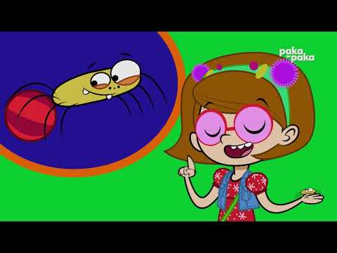 🔍Detectives de Animales: ARAÑA 🕷️ | Series infantiles | PAKAPAKA