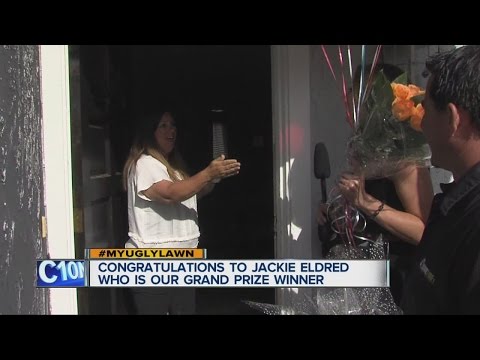 My Ugly Lawn grand prize winner