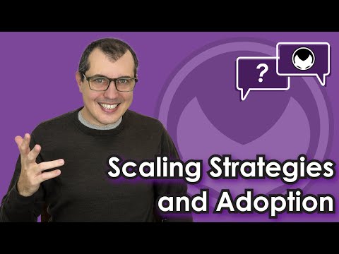 Bitcoin Q&A: Scaling Strategies and Adoption Video