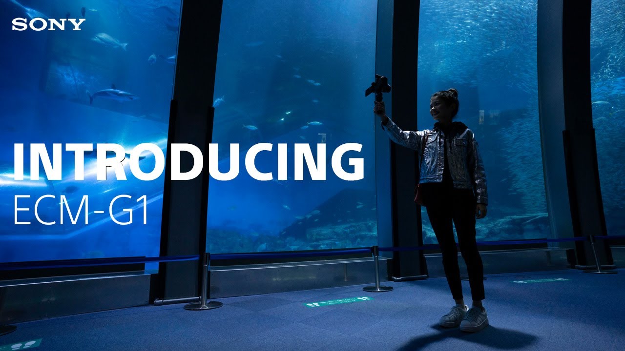 Sony ECM-G1 mikrofón