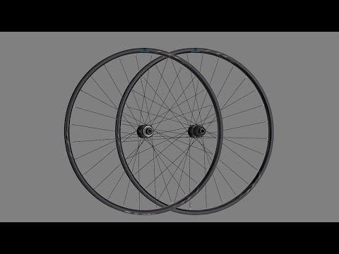 Roda de Bicicleta Shimano WH-RS171 Disc HG - Bike Point