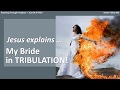 GREAT TRIBULATION 006 Jesus explains     My Bride in Tribulation!