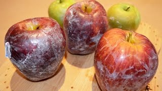 Apples and Wax - What You Should Know