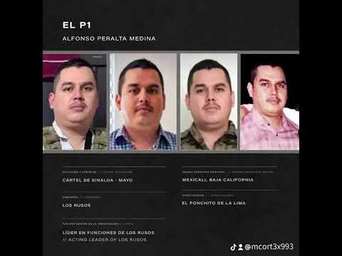 P1 De Los Peralta Los Varones De Culiacan