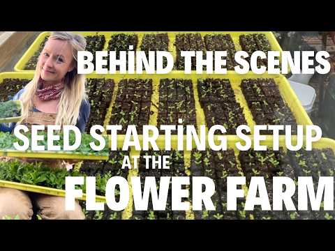 Behind the scenes seed starting setup (indoor or out!)