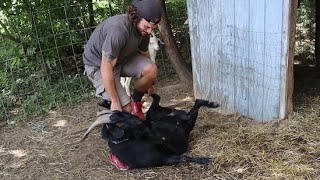 Flipping Our BUCK to Take back CONTROL