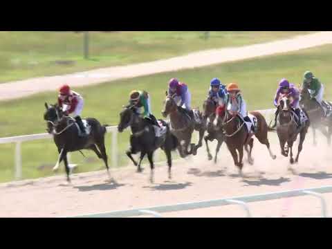 2022.06.04. 04. futam - NEMZETKÖZI AMATŐRVERSENY HENDIKEP (IV.o.) (szintetikus pálya)