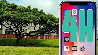 MY FIRST 4K VIDEO! 🎥 - 4K Video Tests (iPhone X)
