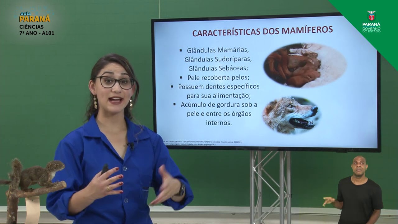 7º Ano | Ciências | Aula 101 - Retomada de Conteúdos: Répteis, Aves e Mamíferos