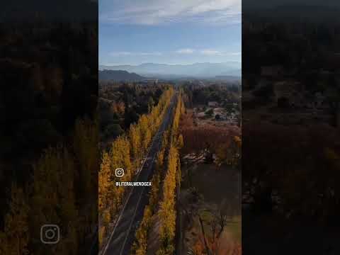 Luján de Cuyo Cabañas El Maiten Vistalba 📲 261 699-2655 Mendoza