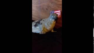 Seal forget the parties let just party