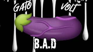 Roulette Delgato feat. Sheniqua Volt - BAD (Big Ass D*ck) Cardi B Megan Thee Stallion WAP remix