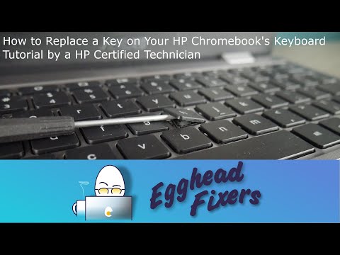 How to Replace a Key on Your HP Chromebook's Keyboard - Tutorial by a Certified Technician