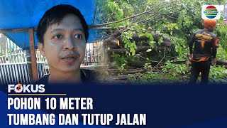 Download lagu Pohon Angsana Tumbang di Surabaya Akibat Hujan Deras dan Angin Kencang | Fokus mp3