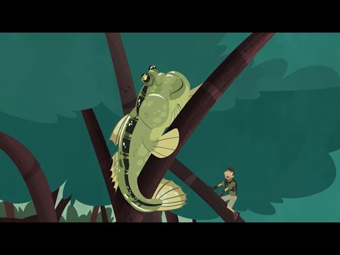 Wild Kratts S7E7 “Fish Out of Water” Full Episode!!!