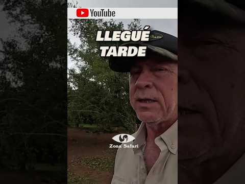 ¡Llegué TARDE! La PEOR noticia en Alvear 💔