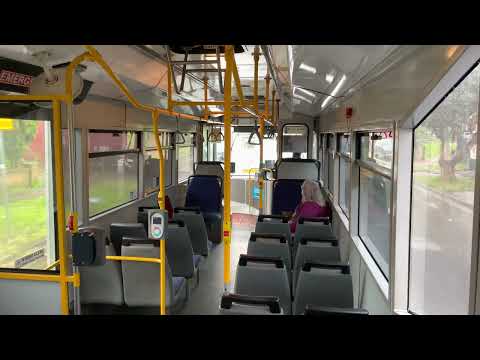 CDC/Hillsbus Mercedes-Benz O 405 NH/CC '550' #8444 (ZF-Ecomat)