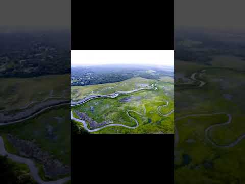 Embu-Guaçu: O Refúgio de Natureza Escondido do Lado de São Paulo! 🌿