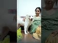 Highlight 3 05 8 05 From Gowri Siji Mathews Is Live