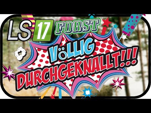 LS17 FORST FICHTELBERG SE02 - 25000€ Feuerwerk für Silvester #016 ★ Lets Play Farming Simulator
