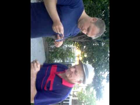 MONARHU DIN DRAGUSENI