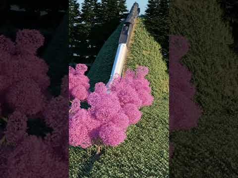 When a Cool Train cuts through a Wonderful Landscape.. (Blender 3D Animation)