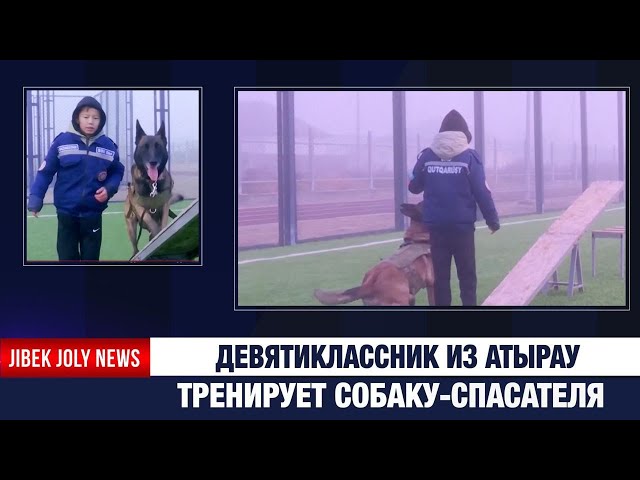 Девятиклассник из Атырау тренирует собаку-спасателя