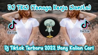 Download lagu DJ TKW (TENAGA KERJA WANITA) VIRAL TIKTOK TERBARU 2022 YANG KALIAN CARI mp3
