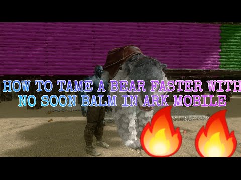 How to tame a DIRE BEAR faster with no soothing balm