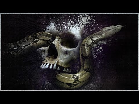 Ranking Never Say Die - One Hundred