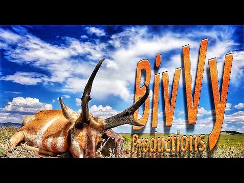 Record Book Antelope