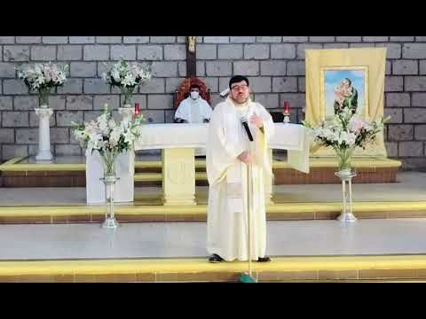 Homilía: San Martín de Porres… saber barrer el corazón.