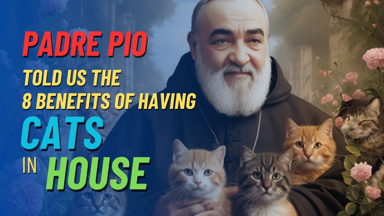 PADRE PIO Reveals 8 Surprising Benefits of Having CATS in HOUSE