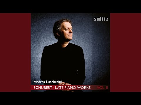 Piano Sonata No. 21 in B-Flat Major, D. 960: IV. Allegro, ma non troppo