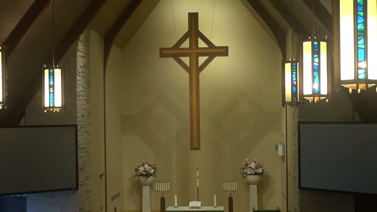 Promotional video thumbnail 5 for Experienced organist