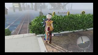 PS4 PRO BLUE REFLECTION TIE（帝）