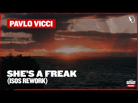 Pavlo Vicci - She's A Freak (In Search Of Sunrise Extended Rework)