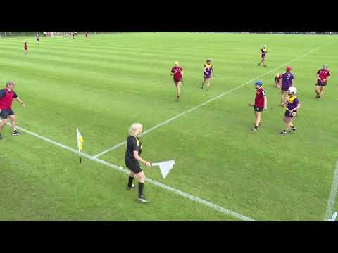 Camogie, Down v Wexford Saturday 8th Jly 2023