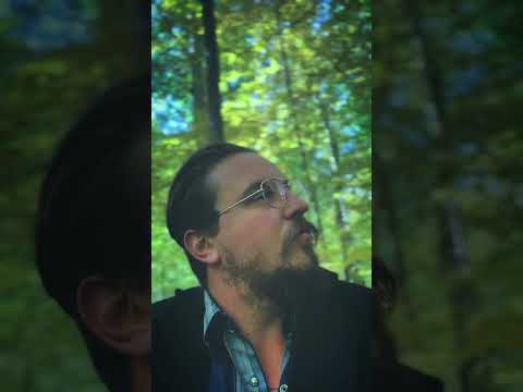 JAYE JAYLE - Warm Blood and Honey