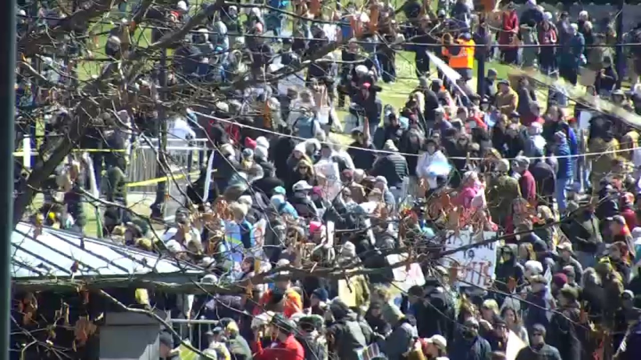 Boston 'No Kings' rally: Watch live