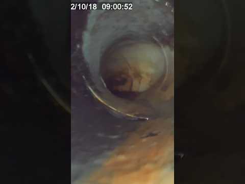 This Inspection Could Save You Thousand In Repairs! #plumbing #tradeschool #sewerscope