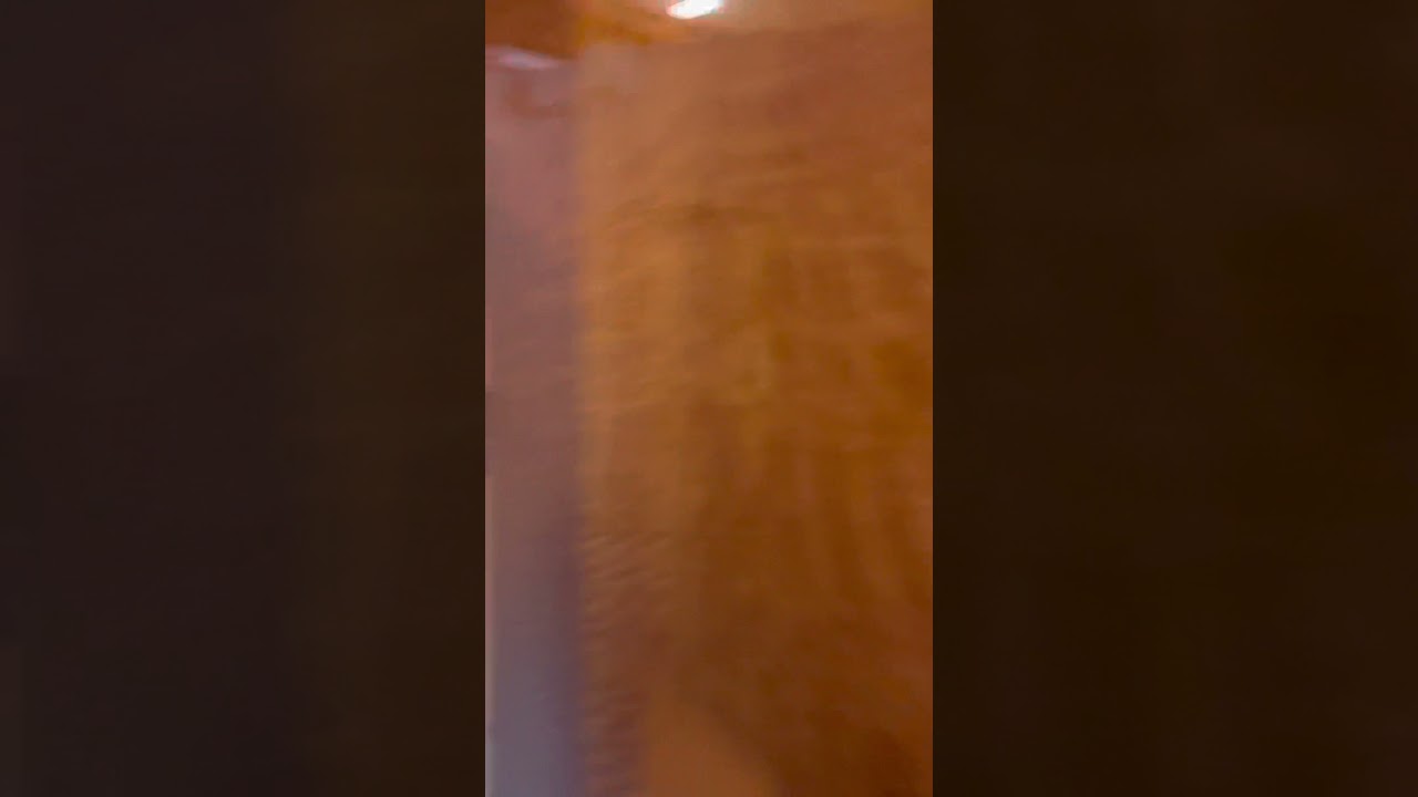 Disney Magic - Cabin 8534 - Video 2