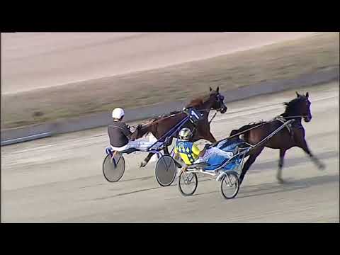 Napoli Trotto 19/09/2023 - 3ª prova di qualifica