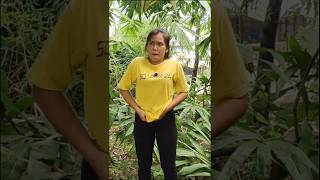 Download lagu Yeni Berak Di Bawa Pohon bambu#shorts #comedy #lucu #trending#fyp#ngakak #funny #prank mp3