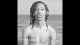 Nine Vicious - Feeling Myself (Beyoncé Intro) #beyonce #ninevicious