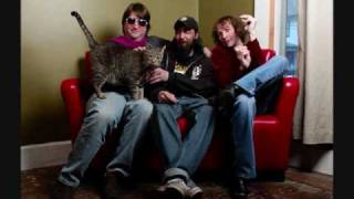 Missing Man - Marmoset