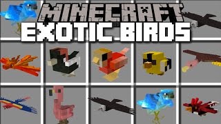 Minecraft EXOTIC BIRDS MOD / PLAY WITH LOADS OF EXOTIC BIRDS IN THE ZOO!! Minecraft