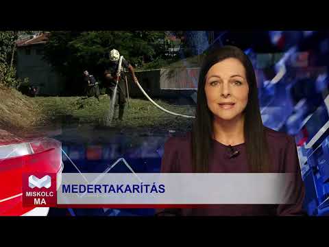 Videó előnézet