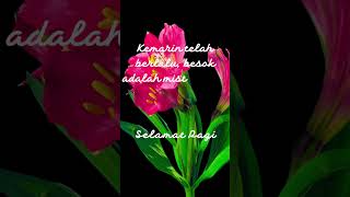 Download lagu Ucapan Selamat Pagi Story WA mp3