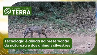 Miniatura do vídeo